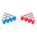 Beer Pong set