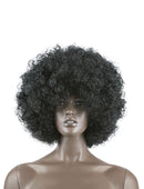 Afro pruik zwart