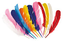 Set Indianenveren 12 stuks