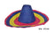 Sombrero / Mexicaanse Hoed gekleurd