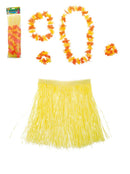 Hawaii rokje 60 cm met haarclip bloem en bloemenkransje
