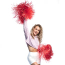 Cheerleader Pompom, div. kleuren