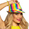 Hoed Popstar pailletten Regenboog