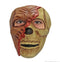 Halloween Gezicht Maskers, verkrijgbaar in diverse uitvoeringen