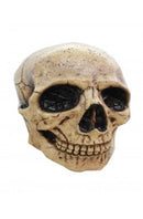 Doodshoofd Masker Skull Tan 3
