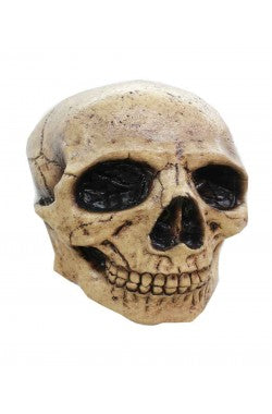 Doodshoofd Masker Skull Tan 3