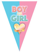 Vlaggenlijn Gender Reveal 5 meter boy/girl