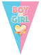 Vlaggenlijn Gender Reveal 5 meter boy/girl
